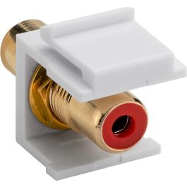 Keystone 2x RCA hun