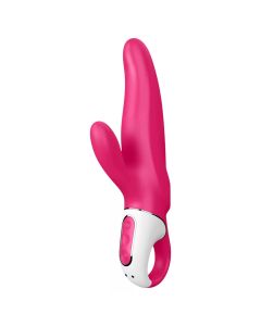 Satisfyer Mr. Rabbit Vibrator