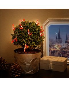 Goobay lyskæde julestokke med 10 LED lys 